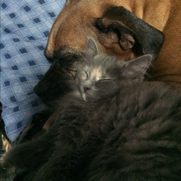 Meet your Posher, Kandace - Picture 1 of 1